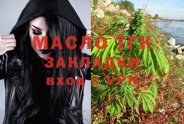 сатива Аркадак